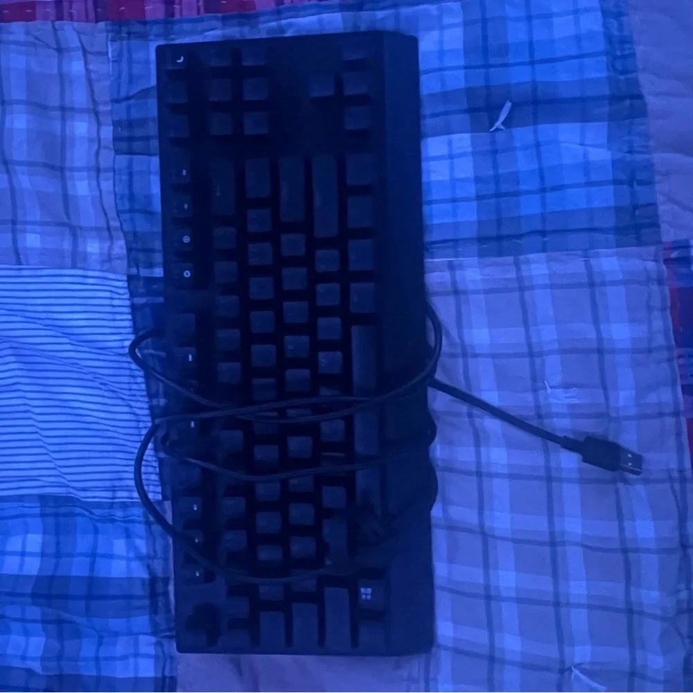 Razer blackwidow v3 tenkyless.